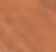 Golden-Oak-a