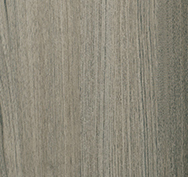 Silvered Oak